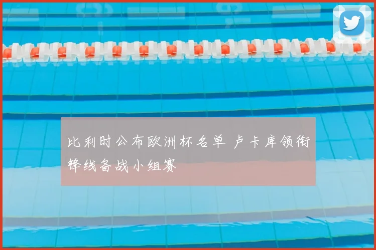 比利时公布欧洲杯名单 卢卡库领衔锋线备战小组赛