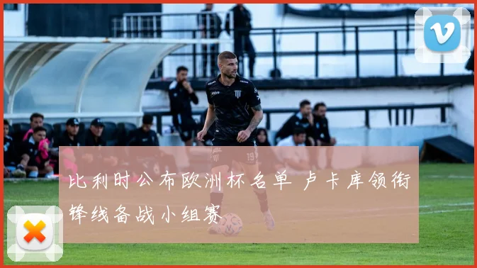 比利时公布欧洲杯名单 卢卡库领衔锋线备战小组赛