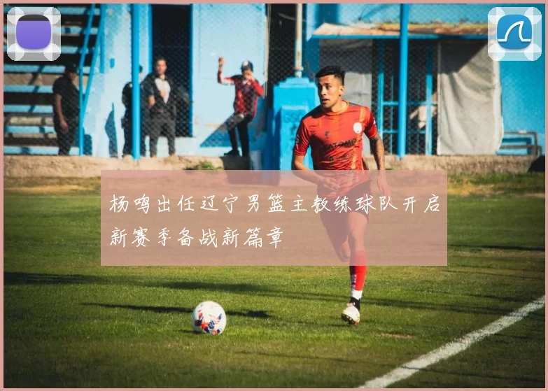 杨鸣出任辽宁男篮主教练球队开启新赛季备战新篇章