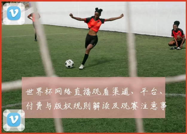 世界杯网络直播观看渠道、平台、付费与版权规则解读及观赛注意事项